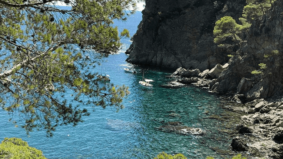Breakfast in Cala Pedrosa