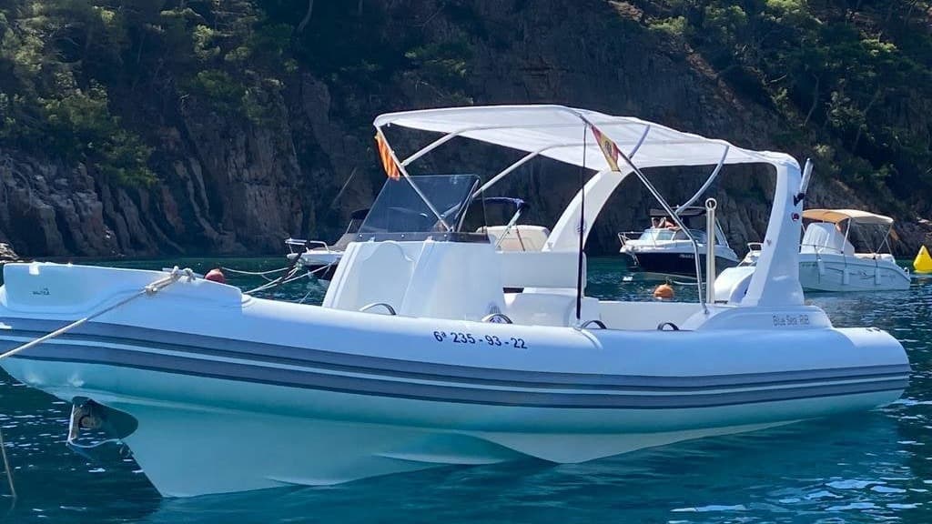 Blue Sea Rib